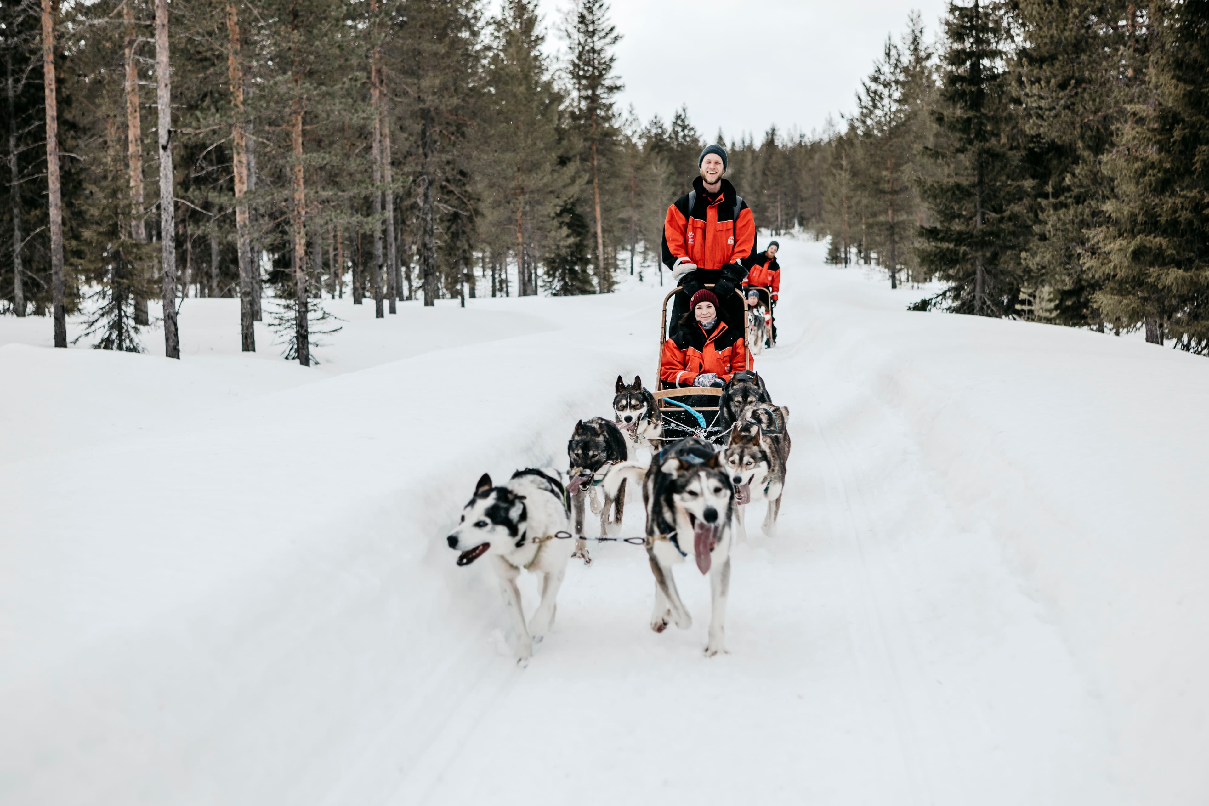 Kuvaa ei löytynyt