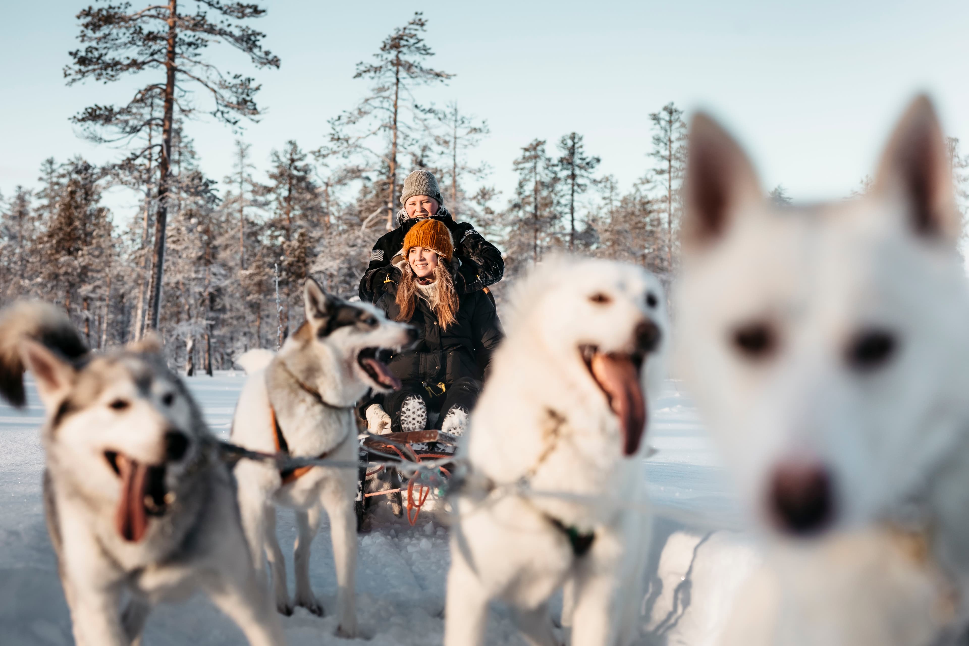 Kuvaa ei löytynyt