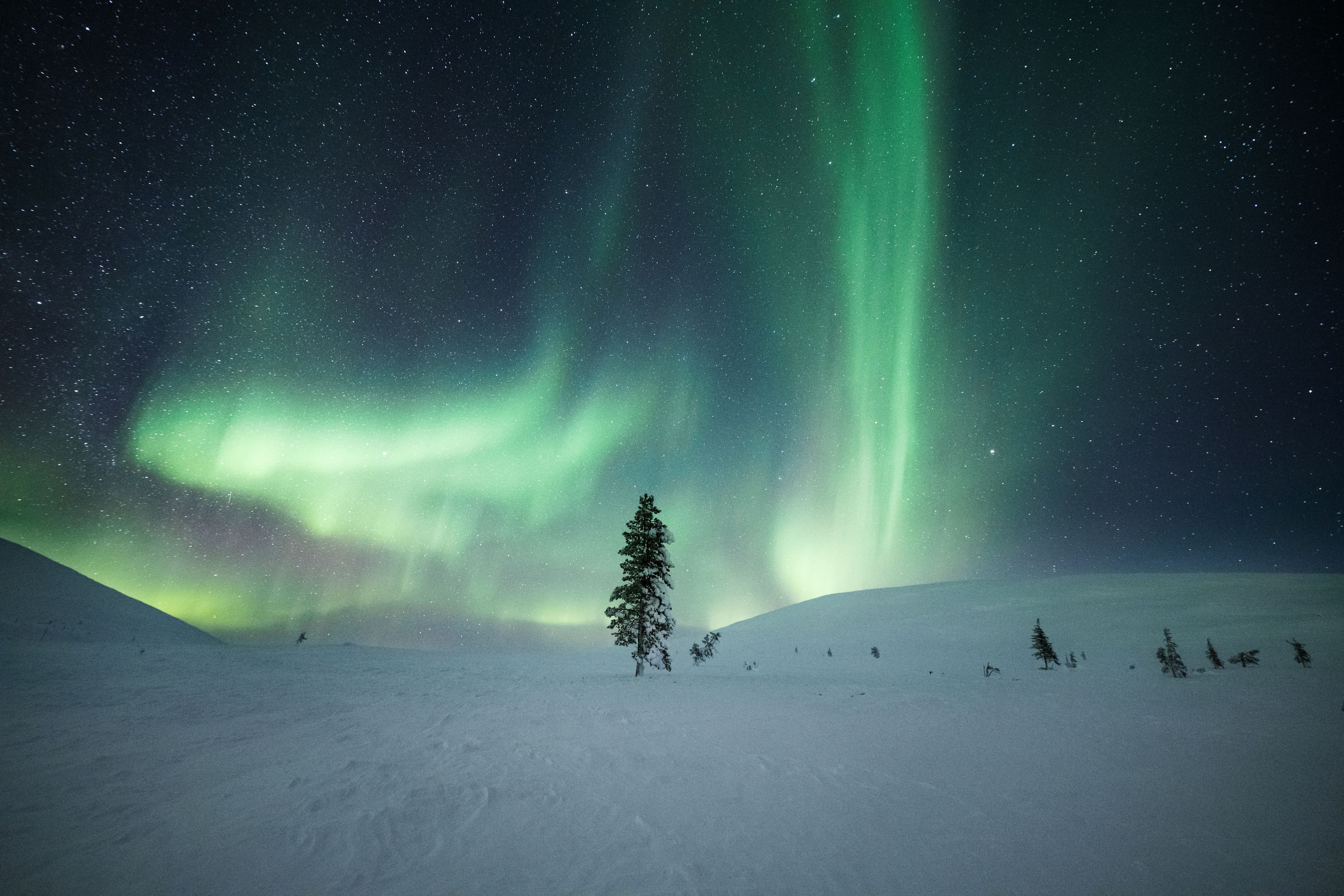 Lapland Safaris northern lights Olos
