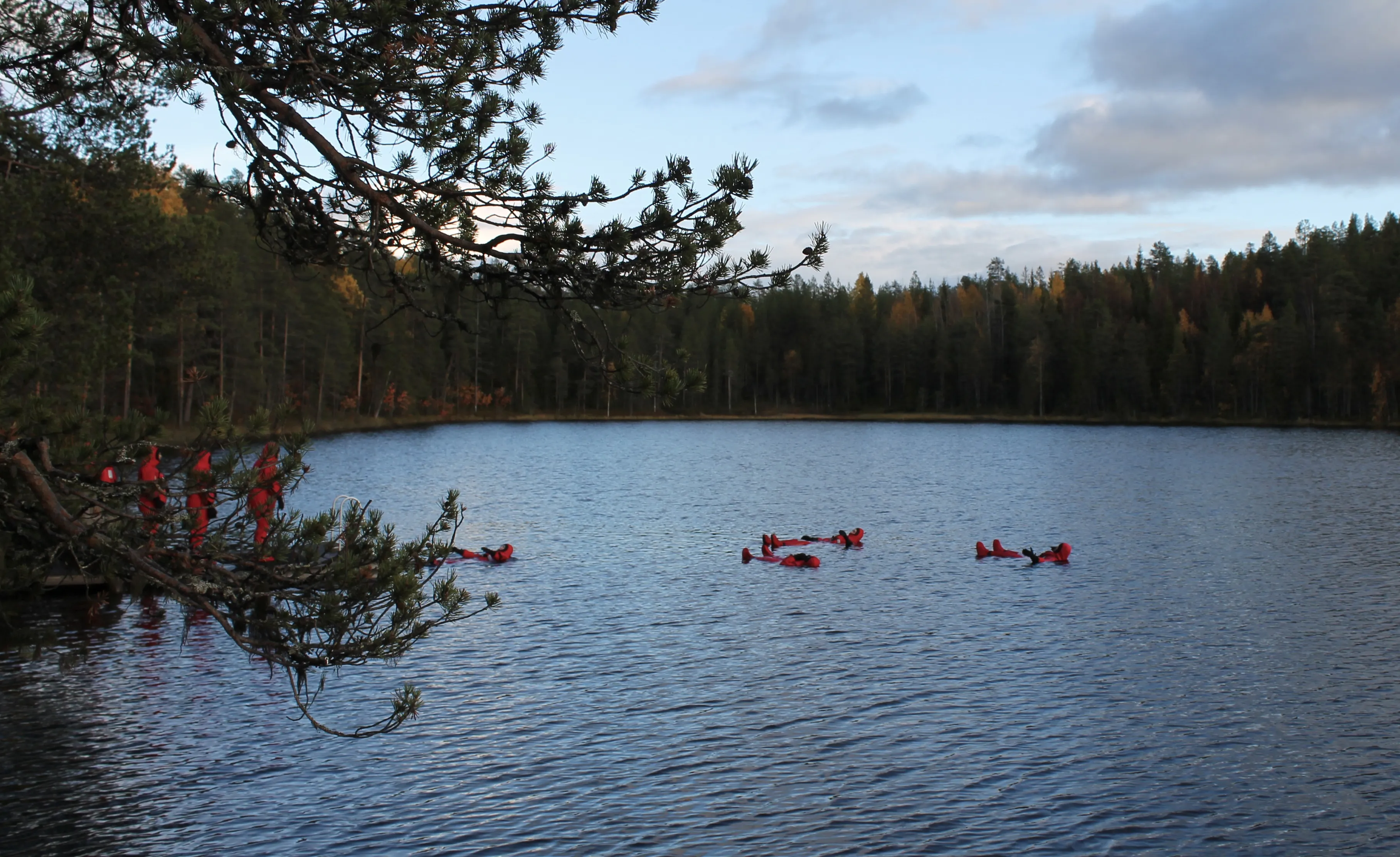 Kuvaa ei löytynyt