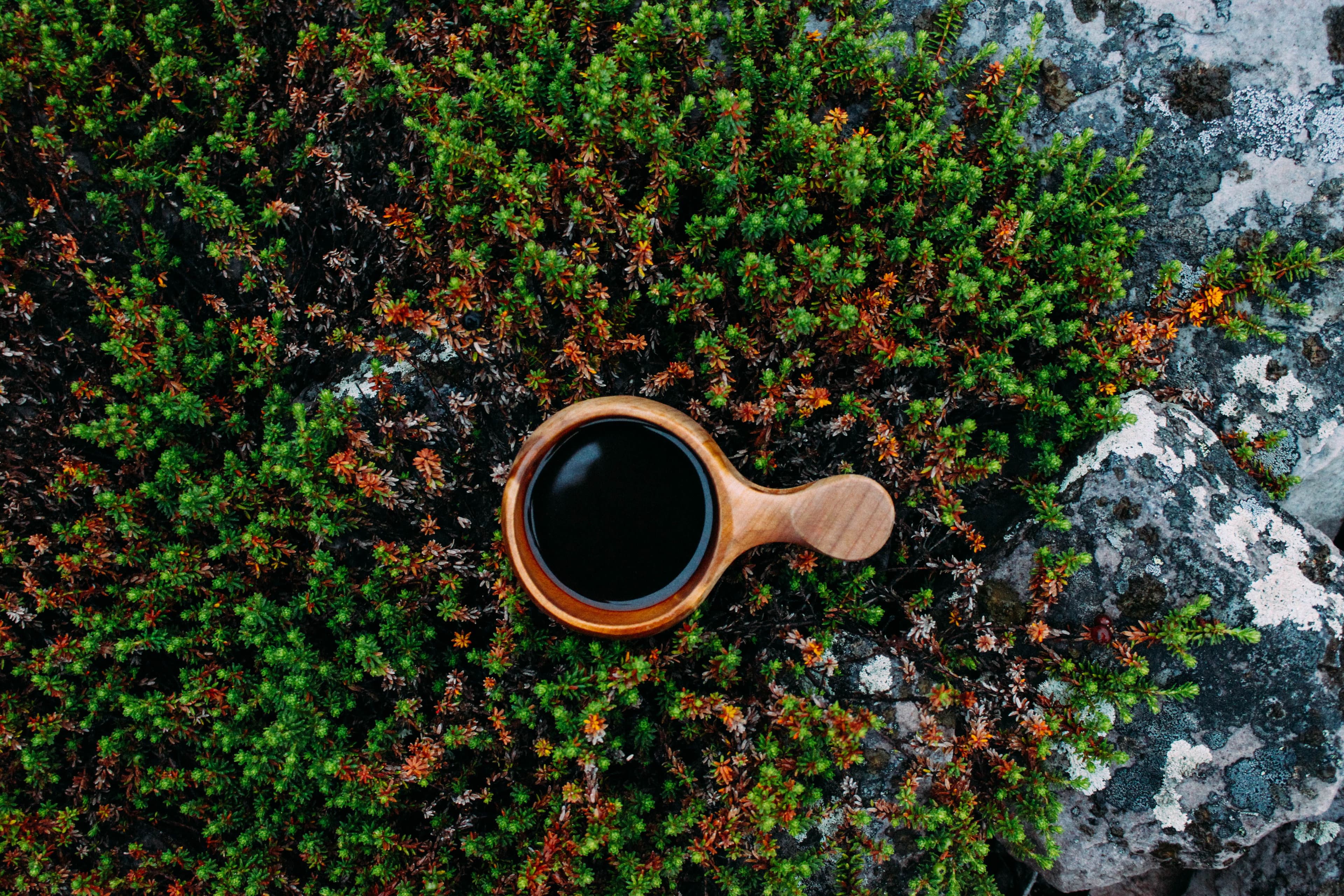Lapland Safaris hiking Luosto summer kuksa