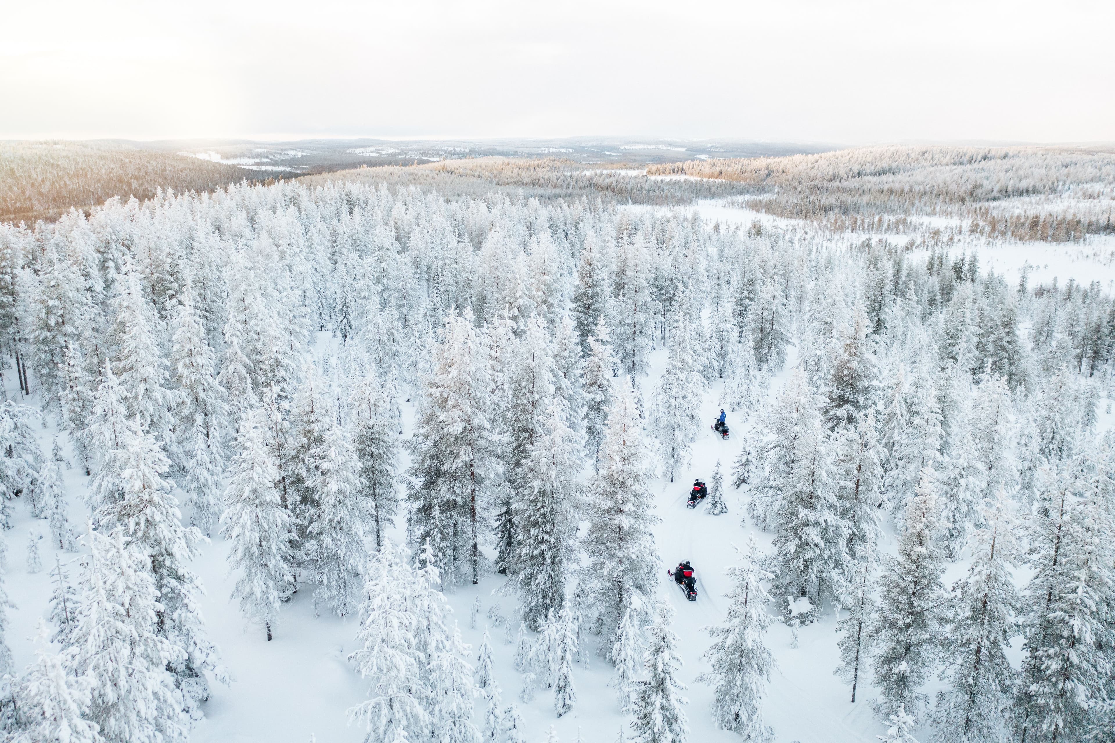 Kuvaa ei löytynyt
