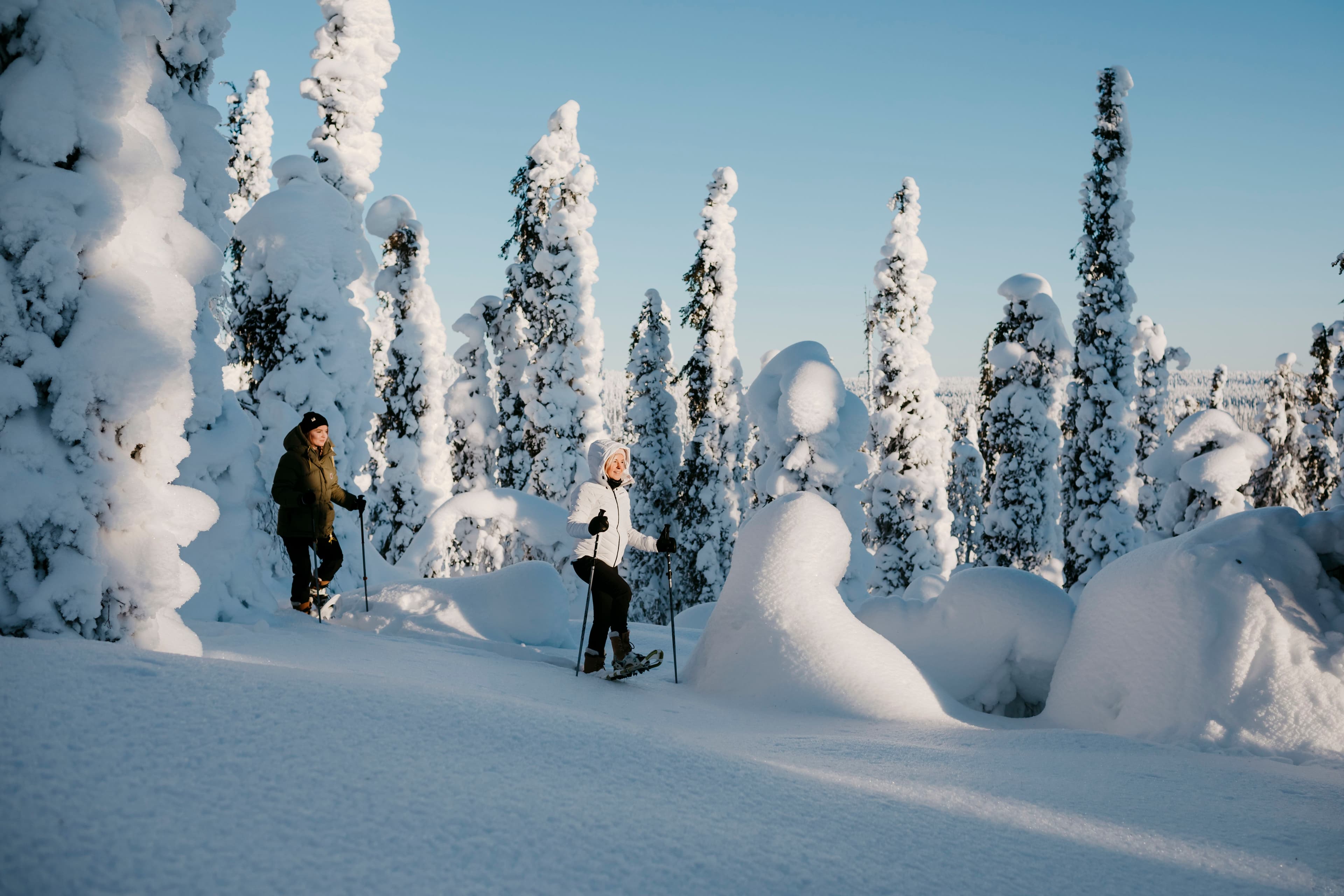 Lapland Safaris snowshoeing Ylläs Äkäskero