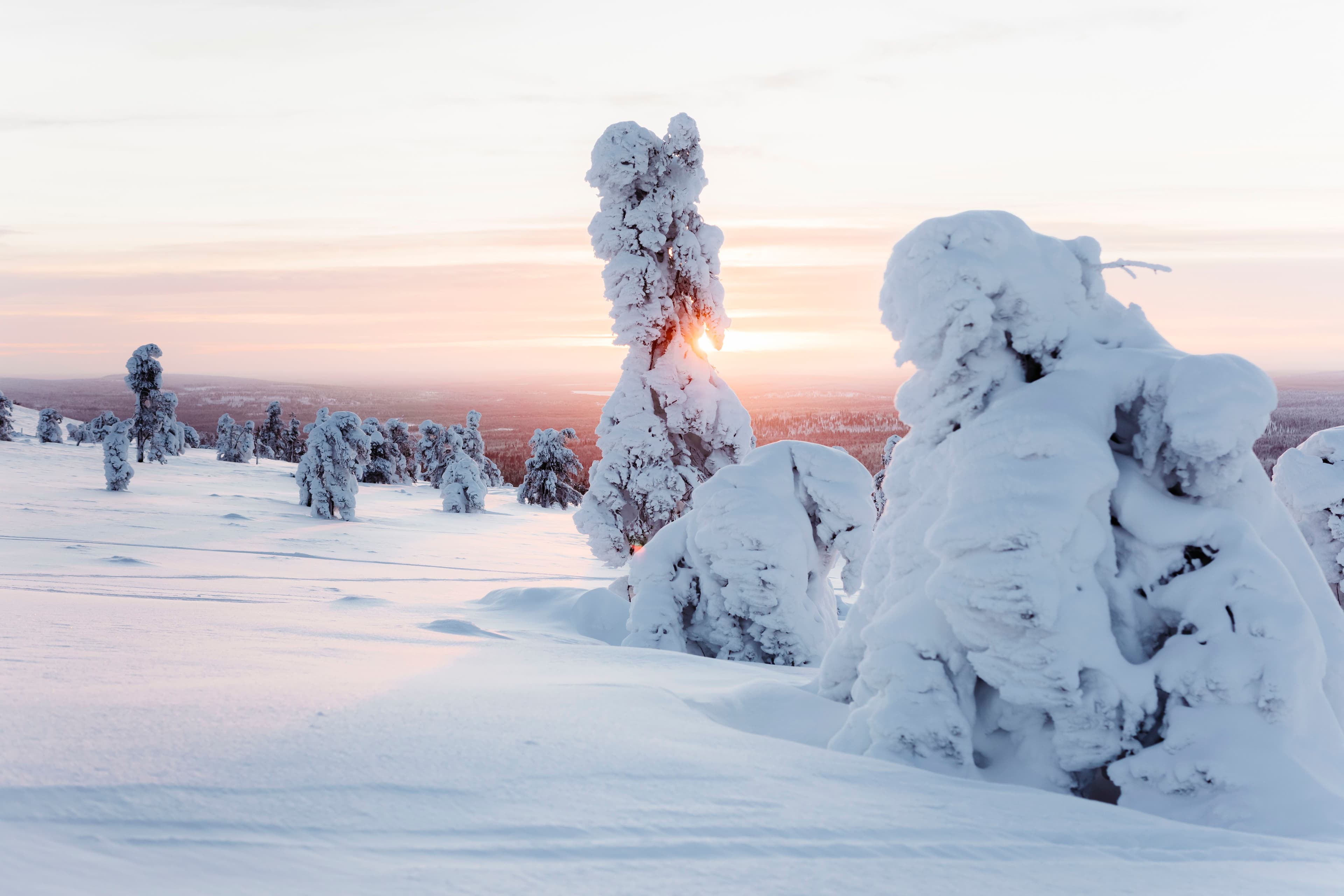 Lapland Safaris Ylläs winter nature sunset