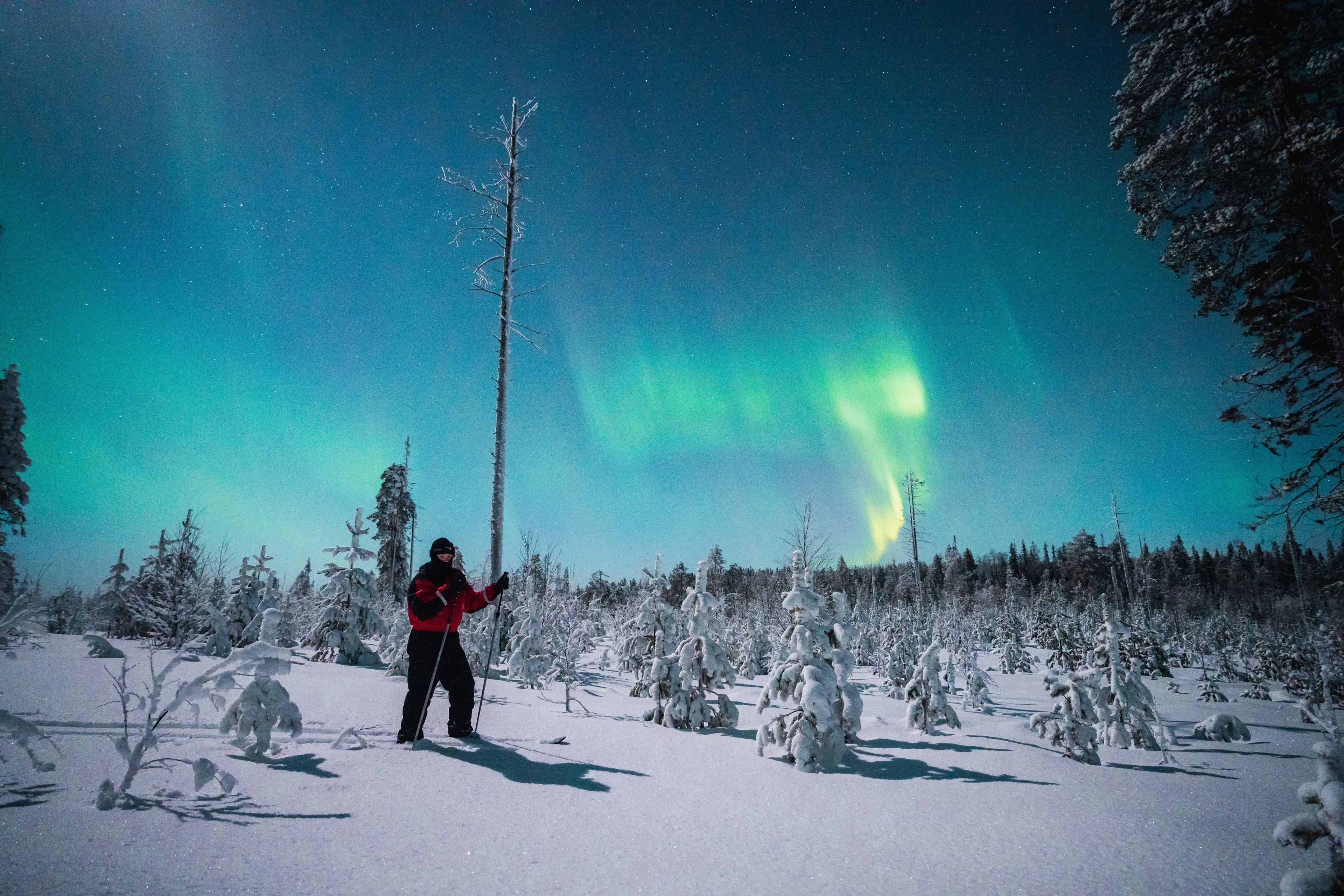 Kuvaa ei löytynyt